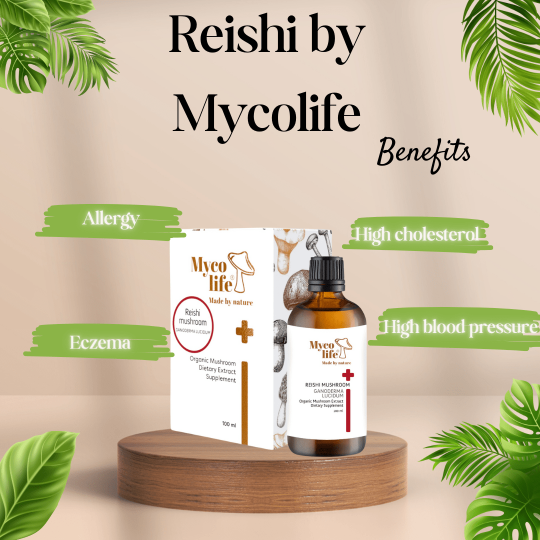 Reishi Mushroom Explained: Natural Support for a Balanced Everyday Life