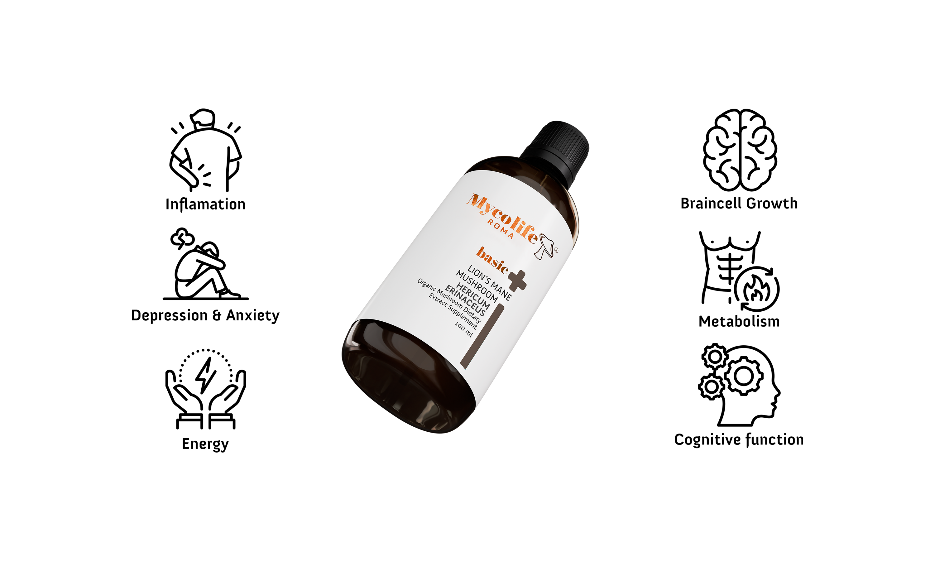 Lion’s Mane (Hericium erinaceus) – Support for Brain and Nervous System