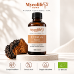 Chaga Liquid Extract BASIC 100ml | Mycolife BIO