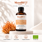 Cordyceps sinensis BASIC 100ml Mycolife BIO