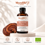 Reishi Liquid Extract BASIC 100ml | Mycolife BIO