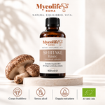 Shiitake Flüssigextrakt BASIC 100 ml | Mycolife BIO
