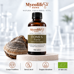 Fomes Fomentarius Extracto Líquido FORTE 150 ml | Mycolife BIO