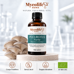 Pleurotus Ostreatus Extracto Líquido FORTE 150 ml | Mycolife BIO