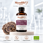 Trametes versicolor (Coda di tacchino) Estratto Liquido FORTE 150ml | Mycolife BIO