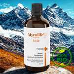Mycolife Focus Basic 100ml