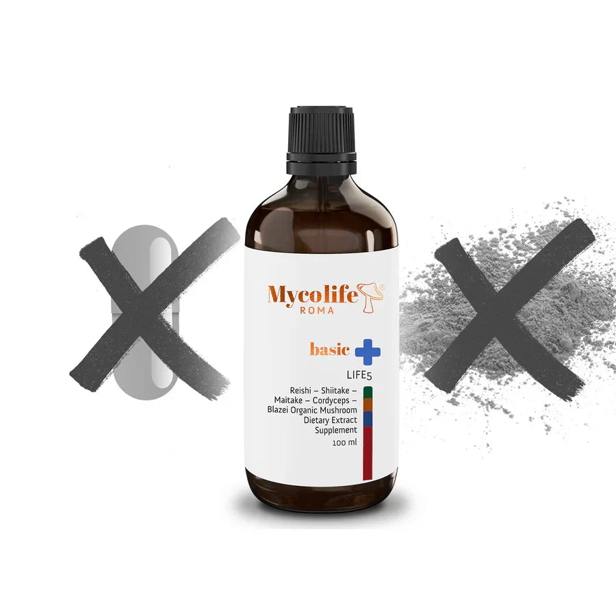 Mycolife: The Power of Nature with Expert Care – Introduction Blog
