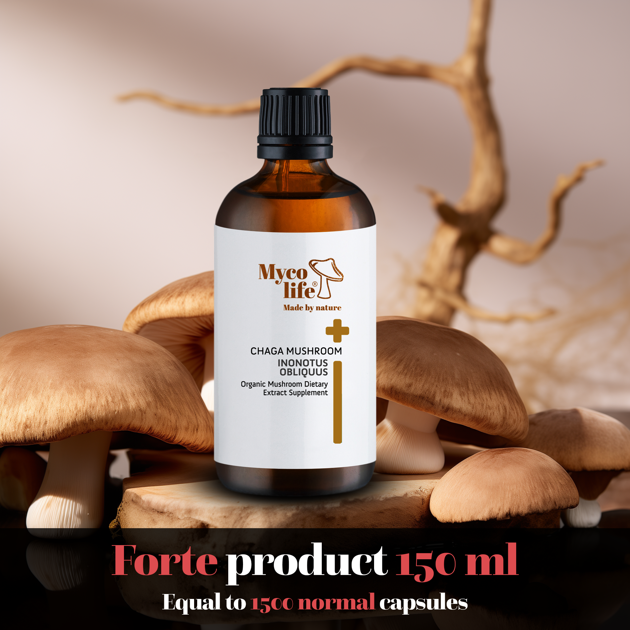 Forte Chaga Mushroom Extract - 150ml