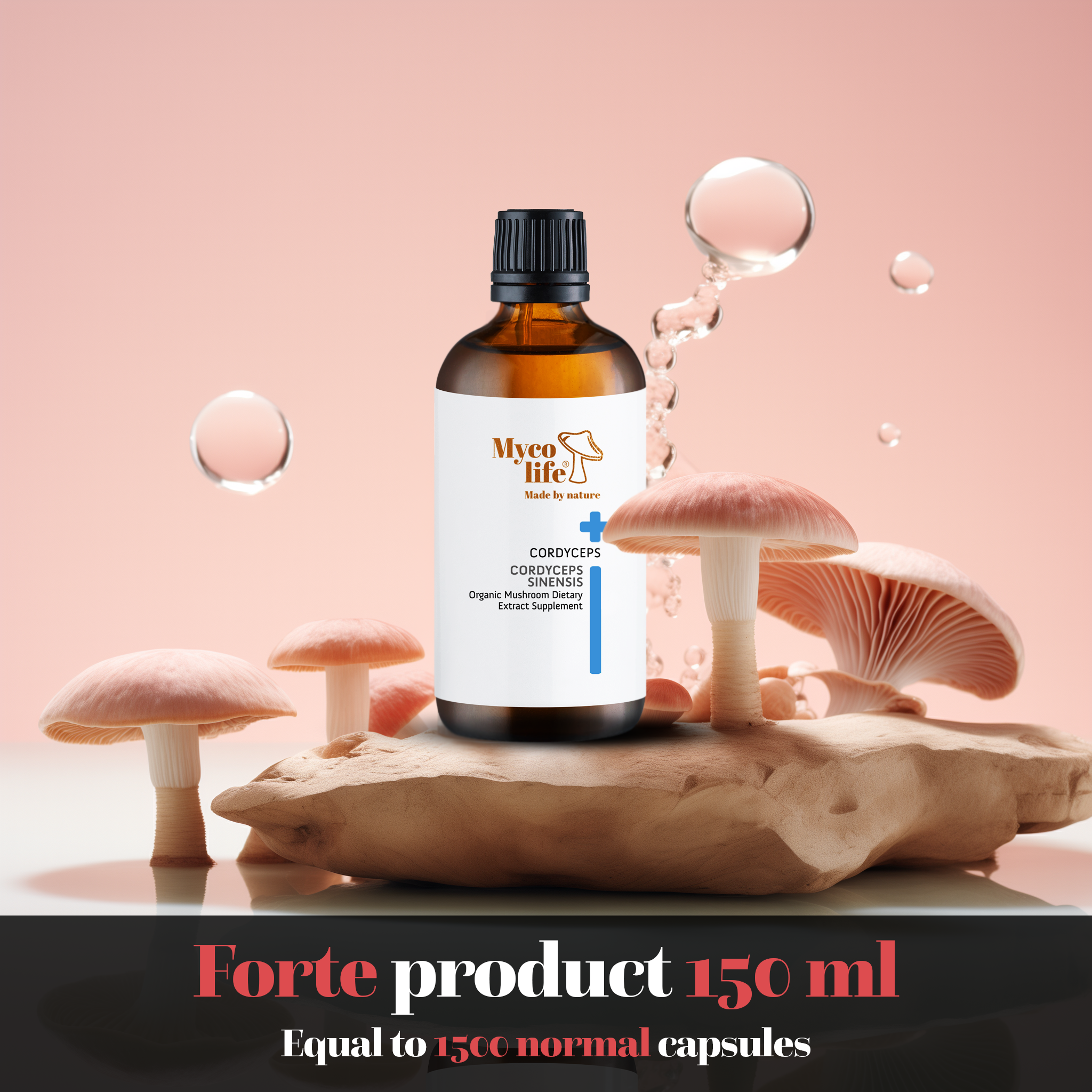 Forte Cordyceps Mushroom Extract - 150ml