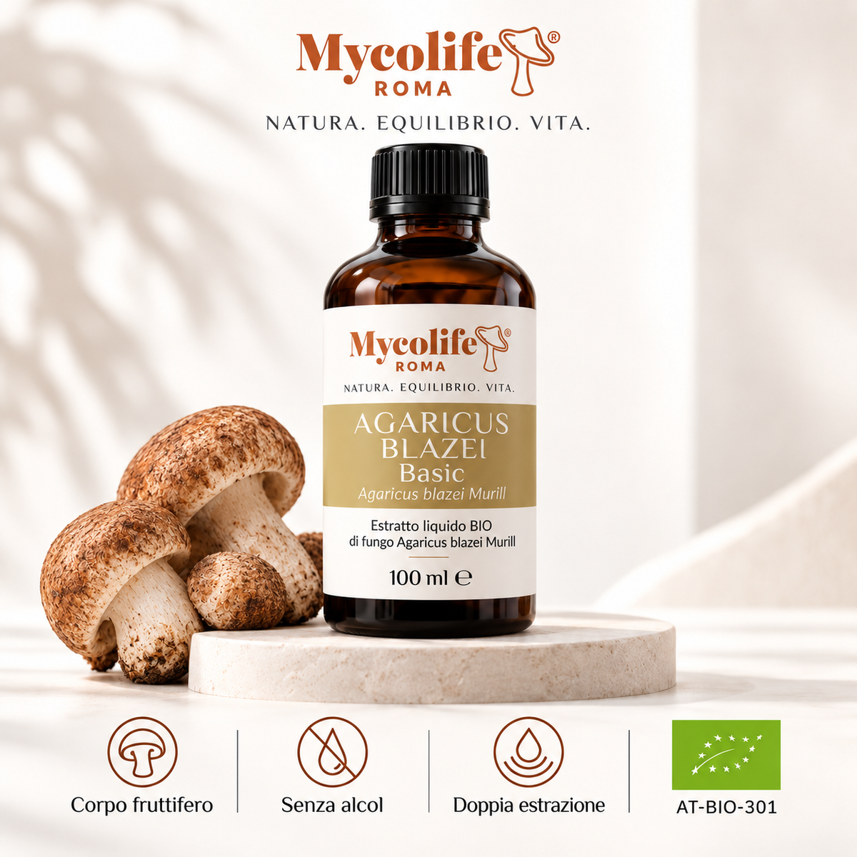 Agaricus Blazei Liquid Extract BASIC 100ml | Mycolife BIO