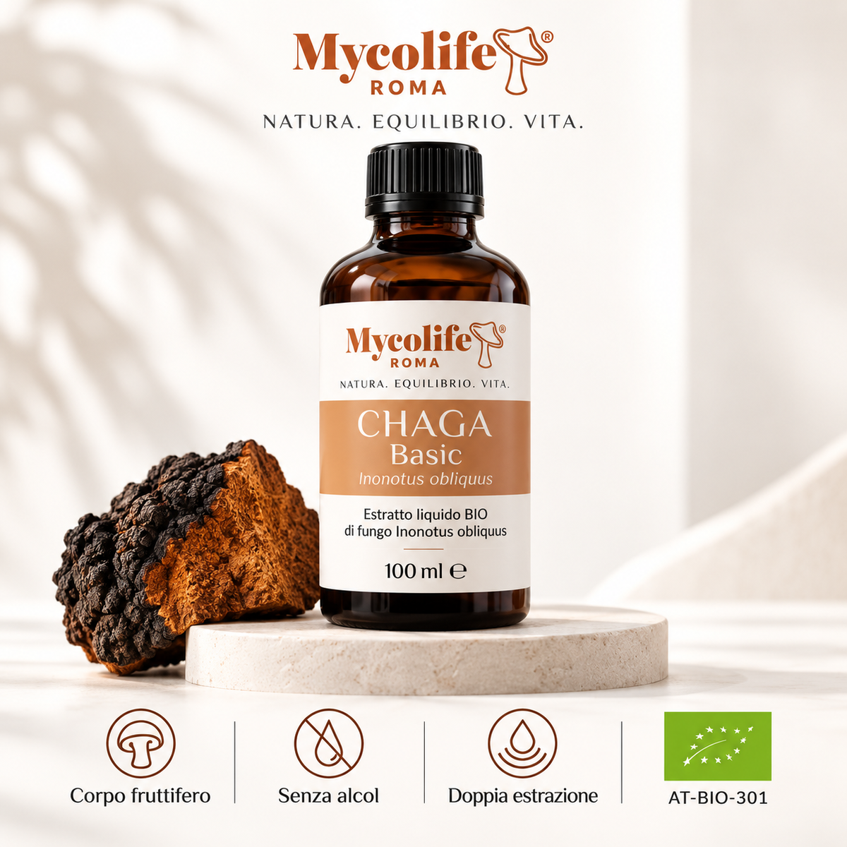 Chaga Liquid Extract BASIC 100ml | Mycolife BIO
