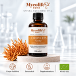 Cordyceps sinensis FORTE 150ml Mycolife BIO