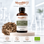 Maitake Liquid Extract FORTE 150ml | Mycolife BIO