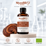 Reishi Liquid Extract FORTE 150ml | Mycolife BIO