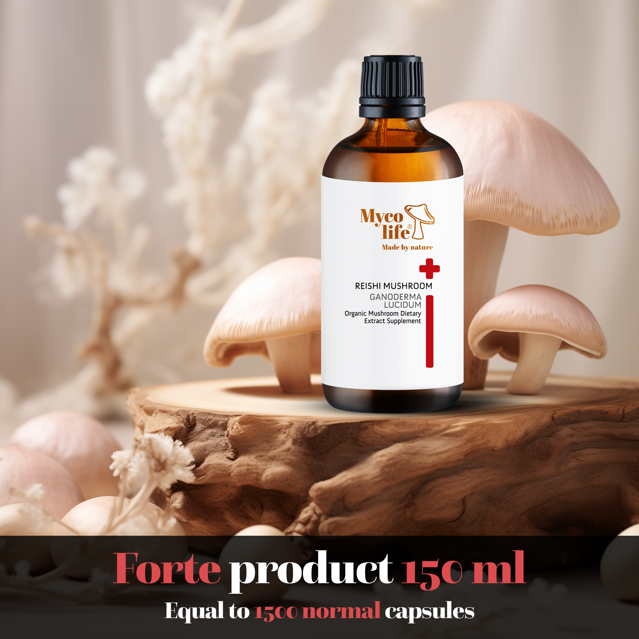 Extrait de champignon Reishi Forte-150ml