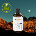 Forte Shiitake Mushroom Extract - 150ml