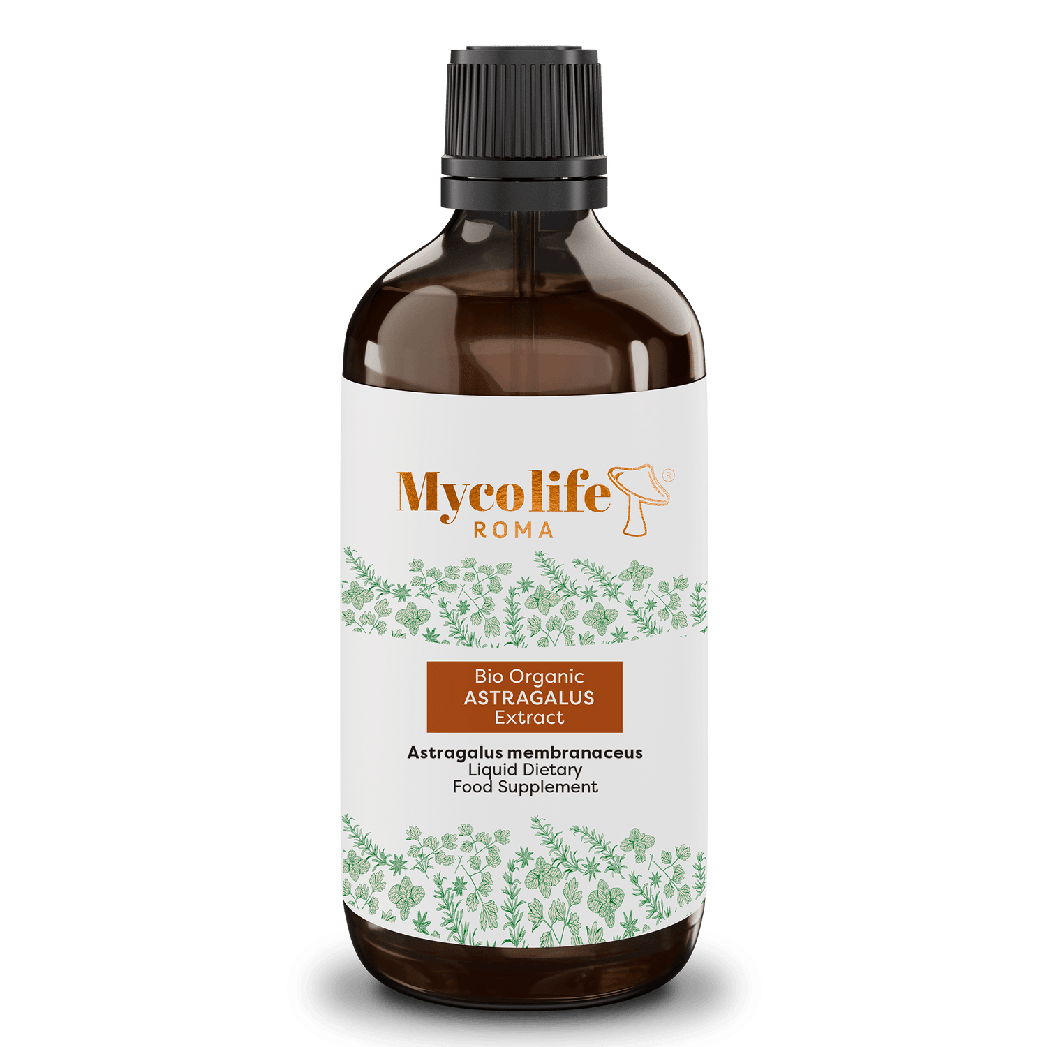 Astralagus Extract - 100ml - Mycolife