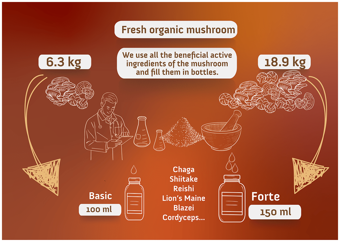 Basic Blazei Mushroom Extract - 100ml - Mycolife