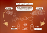 Basic LIFE3 Extract - 100ml - Mycolife