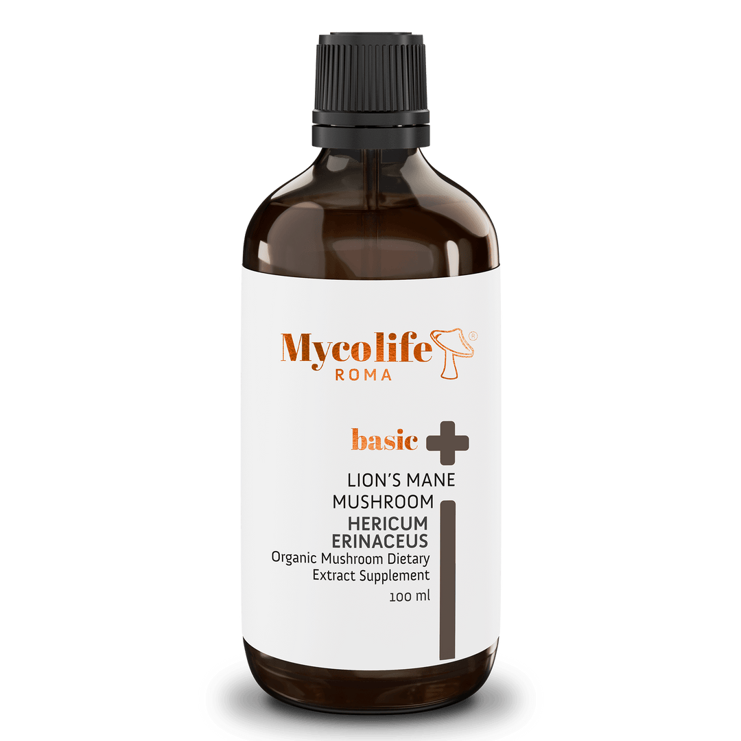 Basic Lion's Mane Mushroom Extract - 100ml - Mycolife