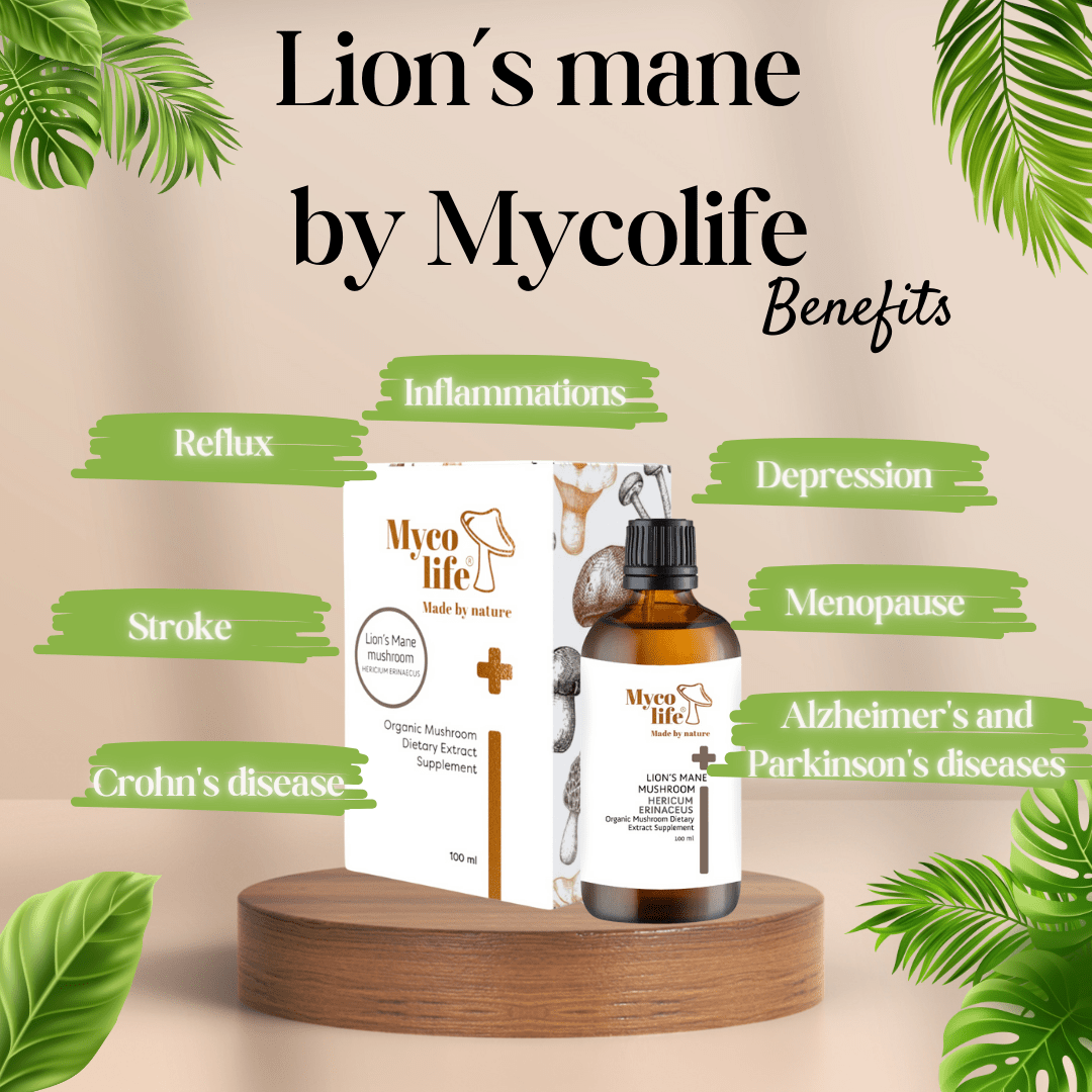 Basic Lion's Mane Mushroom Extract - 100ml - Mycolife