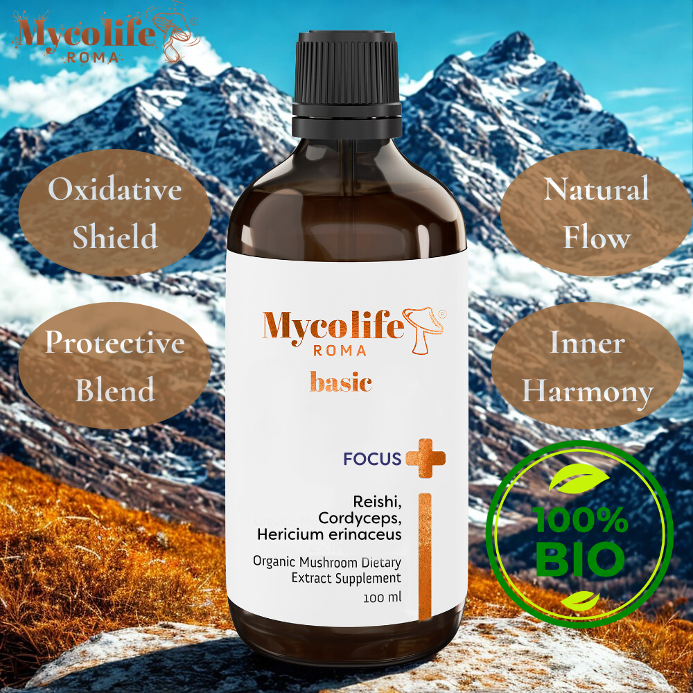 Mycolife Focus BASIC 100 ml product presentation