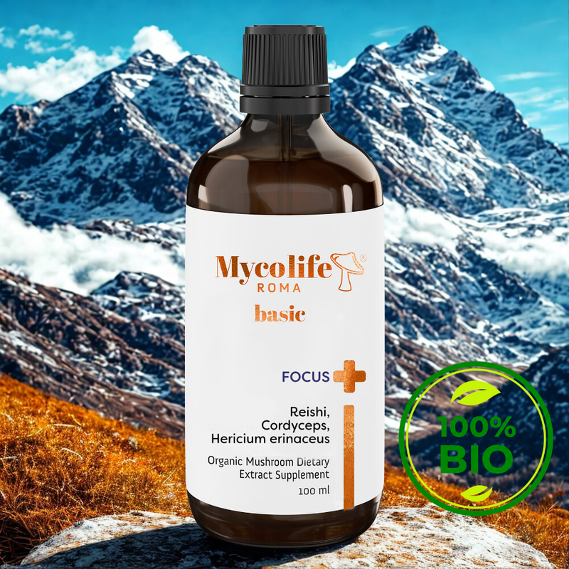 Mycolife Focus Basic 100ml