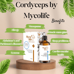 Forte Cordyceps Mushroom Extract - 150ml - Mycolife