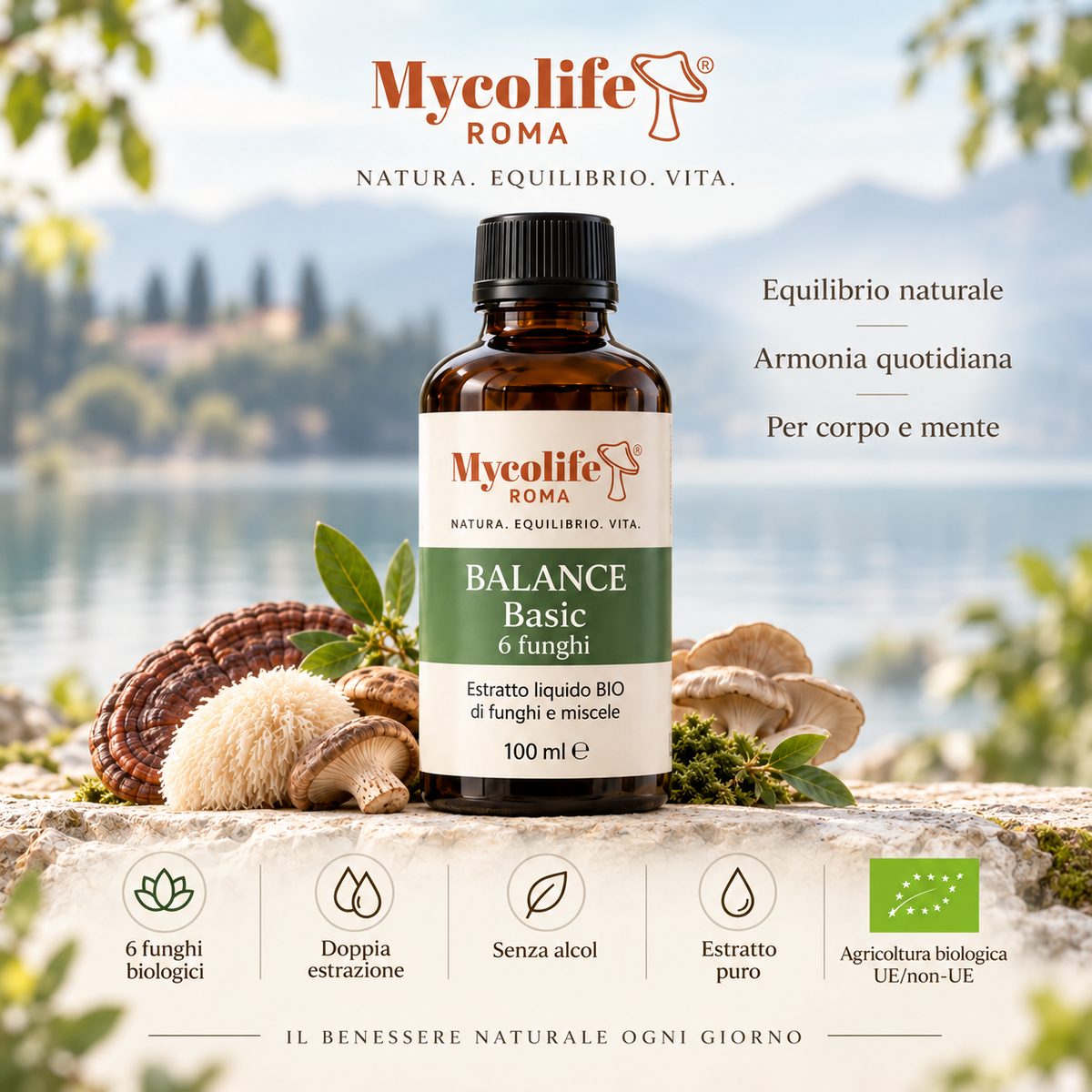Mycolife Balance BASIC 100ml