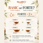 BASIC o FORTE? / BASIC or FORTE? – concentrazione / concentration