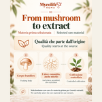 Dal fungo all’estratto / From mushroom to extract