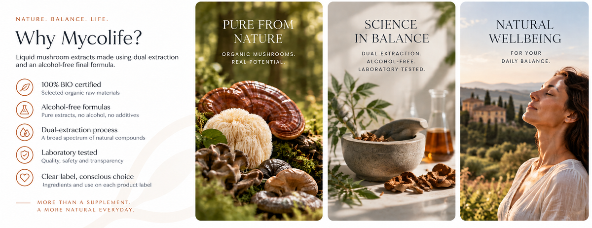 Why Mycolife: organic ingredients, dual extraction and alcohol-free formulas