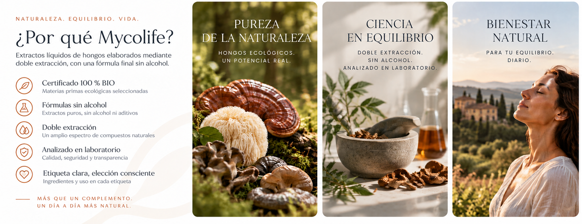 Por qué Mycolife: ingredientes ecológicos, doble extracción y fórmulas sin alcohol