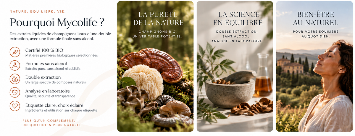 Pourquoi Mycolife : ingrédients biologiques, double extraction et formules sans alcool